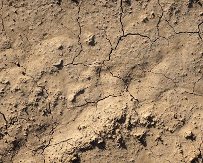 Seca na Europa em agosto: falta severa de chuva afeta colheitas e aumenta risco de incêndio