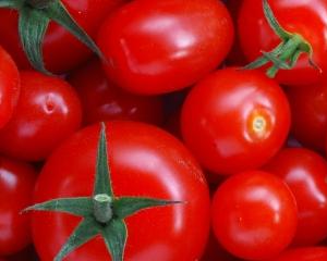 Sector do tomate em risco. Espanha e Itália têm 36,3 milhões em ajudas directas