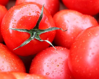 Semana Hortícola do Oeste em Peniche