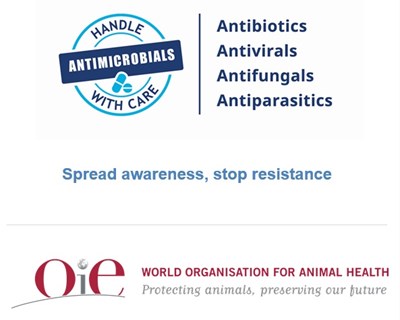 Semana Mundial de Sensibilização para os Antimicrobianos é de 18 a 24 de novembro