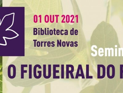 Seminário final do GoFigoProdução marcado para 1 de outubro