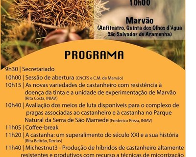 Seminário "O castanheiro e a castanha"