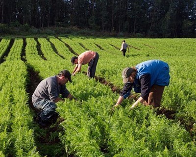 Seminário: Pagamentos agroambientais baseados em resultados – uma nova visão em termos de política agrícola para Portugal?