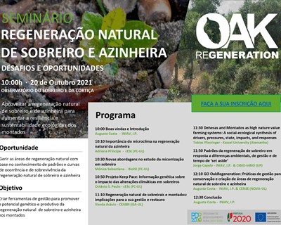 Seminário "Regeneração natural de sobreiro e azinheira - Desafios e oportunidades"
