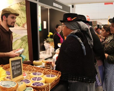 Serpa acolhe Feira do Queijo do Alentejo