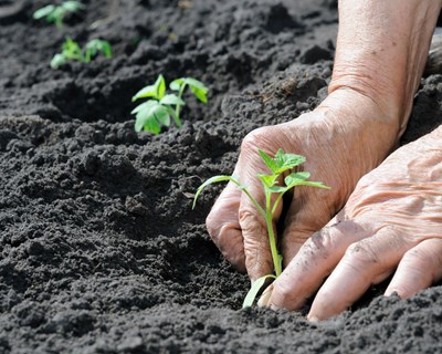 Sessão de partilha entre projetos sobre agricultura familiar, fixação de jovens e desafios dos territórios rurais