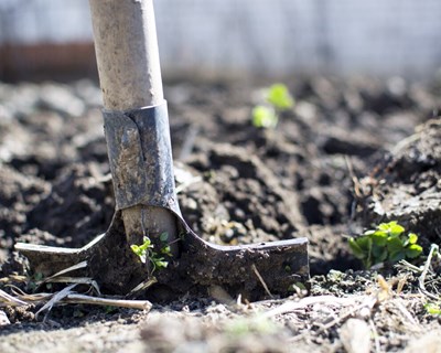 Setor Agricola em debate durante a crise