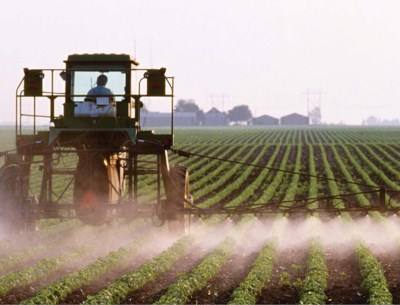 Greening: Bruxelas decide não alterar duração do pousio para manter proibição de pesticidas