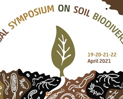 Simpósio Global sobre Biodiversidade do Solo acontece em abril