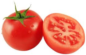 Sistema PF – Um novo sistema de condução para a cultura do Tomate