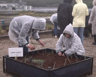 Sonae cria horta comunitária no Sonae Campus