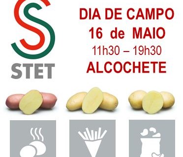 STET Holland organiza Dia da Batata a 16 de maio