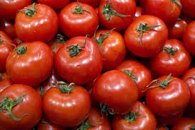 Subida de 55% das importações marroquinas de tomate preocupa Europa