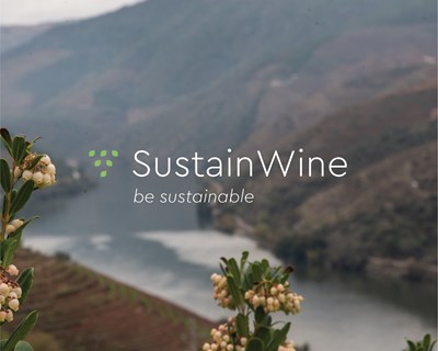 Sustainwine divulga vídeos sobre preservação do solo na vinha e as potencialidades das infraestruturas ecológicas
