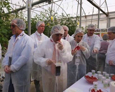 Syngenta amplia centros de inovação de sementes hortícolas em Almeria e Múrcia