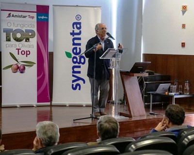 Syngenta apresenta Amistar Top: o fungicida para olivais Top