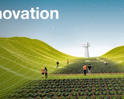 Syngenta apresenta de forma virtual inovação no desenvolvimento de variedades hortícolas