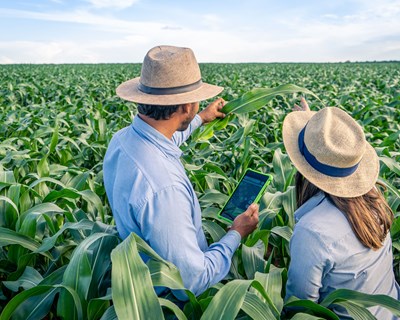 Syngenta apresenta novas soluções biológicas e ferramentas digitais para a agricultura