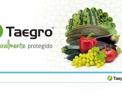 Syngenta apresenta Taegro, o novo biofungicida para vinha e hortícolas