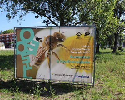 Syngenta leva Operation Pollinator à cidade de Lisboa