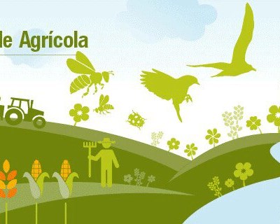 Syngenta organiza concurso para fomentar conhecimento da biodiversidade nas explorações agrícolas