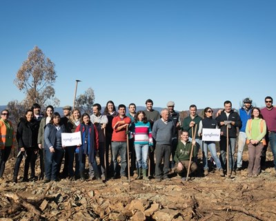 Syngenta realiza ação solidária de reflorestação em Oleiros