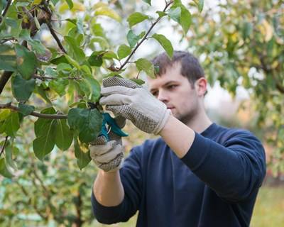 Tavira acolhe conferência de Jovens Agricultores