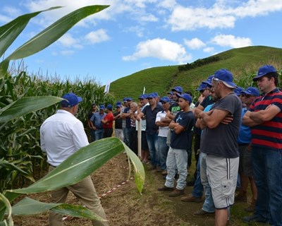 Tecnologia ARTESIAN da Syngenta conquista agricultores açorianos