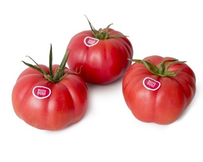 Tomate Monterosa foi eleito o melhor produto natural e ecológico