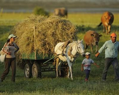 UE: 7 medidas para proteger agricultores europeus