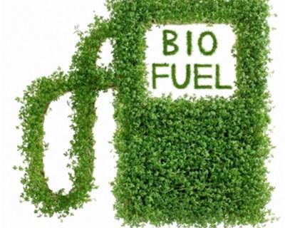 UE limita para 7% uso da Área Agrícola para Produção de Biocombustíveis