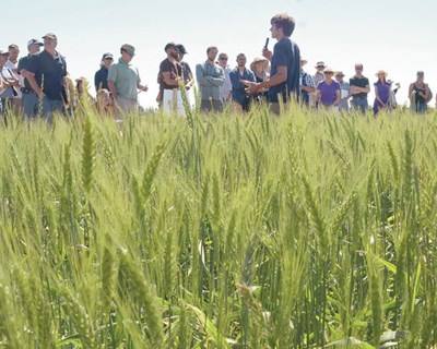 UE: Cooperativas Agrárias são mais resistentes a tempos de crise