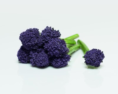 Um tipo de brócolo com atributos únicos é o vencedor do Fruit Attraction Innovation Hub Awards 2020