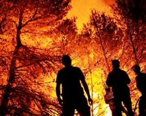 Fundos Europeus financiam investigação contra incêndios