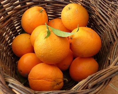 União Europeia veta molécula dimetoato e uso é restringido na produção brasileira de citrinos