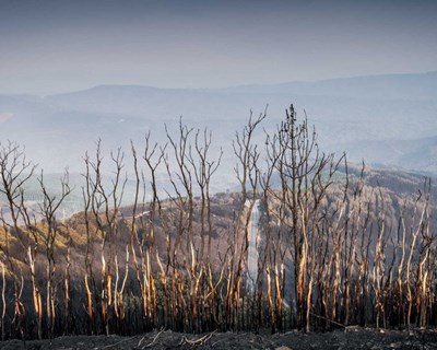 Universidade da Beira Interior cria tecnologia para prevenção de combate a incêndios