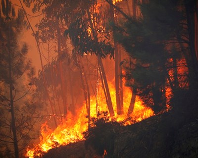 Universidade de Évora (UÉ) com dois novos projetos aprovados na área da investigação e combate aos incêndios florestais