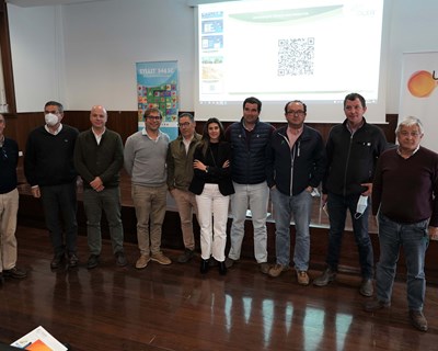 UPL investe em biosoluções para sustentabilidade da cultura do olival