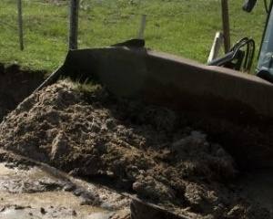 Uruguai declara emergência agropecuária devido à chuva no sul do país