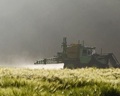 Uso de glifosato autorizado por mais 10 anos