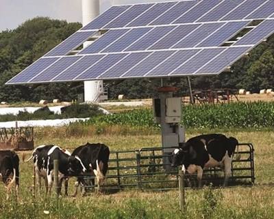 UTAD acolhe encontro sobre Eficiência Energética na Agroindústria