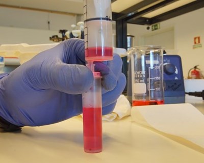 UTAD usa tecnologia do DNA dos vinhos para a deteção rápida da Covid-19