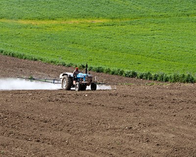 Utilização de biotecnologia na agricultura pode substituir pesticidas