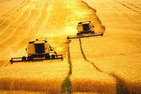 Valor da produção agropecuária do Brasil representou cerca de 135 mil milhões de euros em 2013
