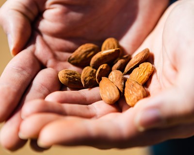 Veracruz, produtora portuguesa de amêndoas, lança marca Vera Almond