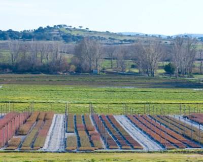 Verbas do PDR2020 já chegaram aos Agricultores