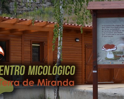 VI Jornadas Micológicas acontecem em novembro