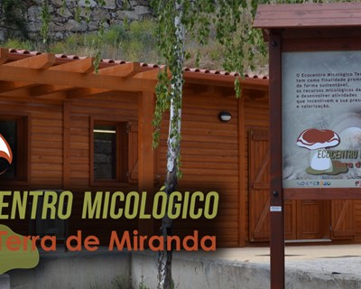 VI Jornadas Micológicas acontecem em novembro