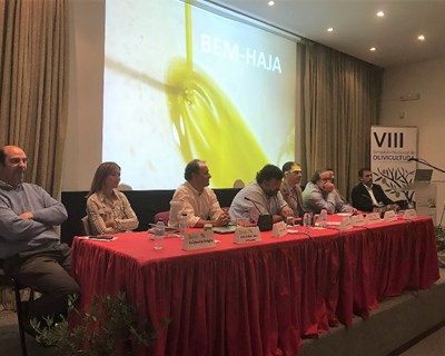 VIII Simpósio Nacional de Olivicultura reuniu 140 investigadores e técnicos