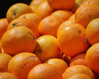 Vila Viçosa: I Feira da Laranja de Pardais